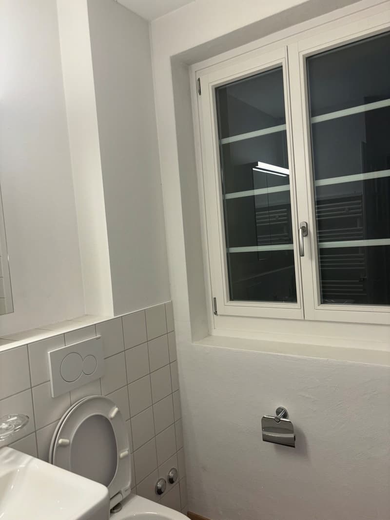 Tolle 2 1/2-Zimmerwohnung im Breitsch (9)