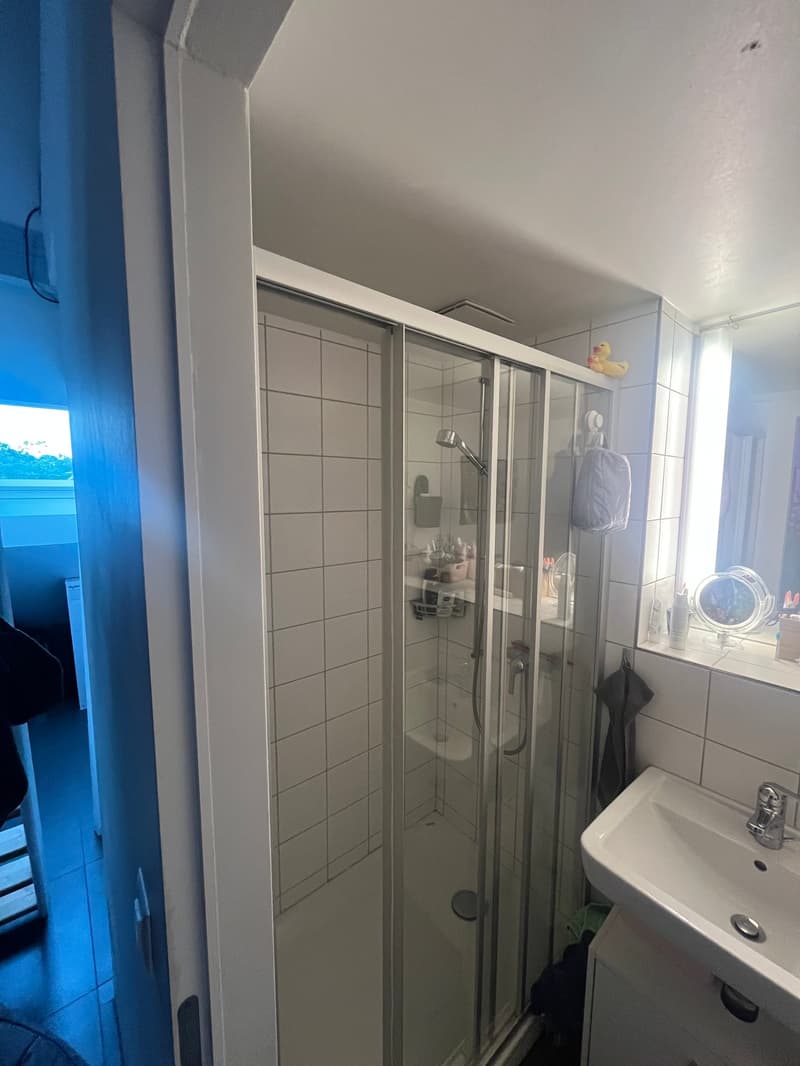 Loft-Wohnung im Obstbergquartier (7)