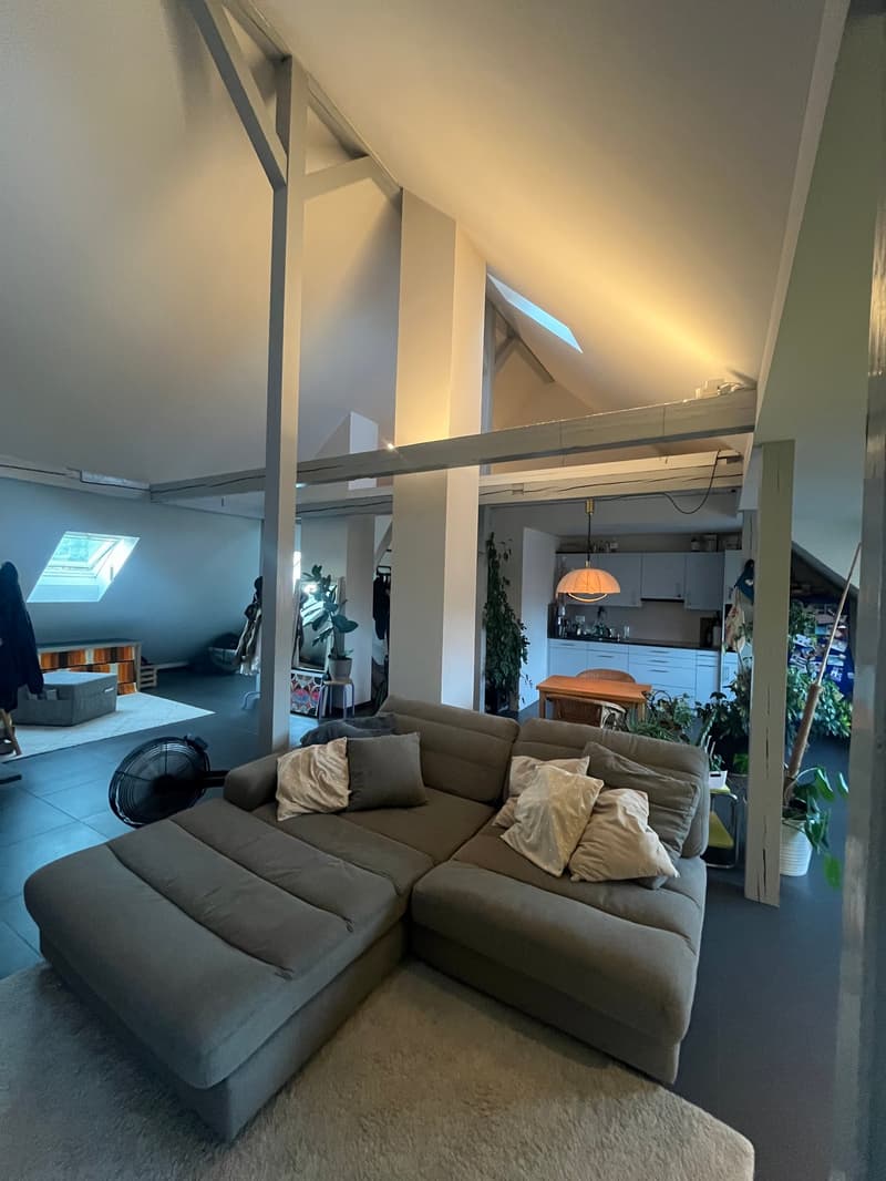 Loft-Wohnung im Obstbergquartier (3)