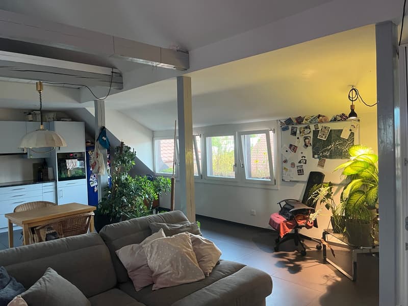 Loft-Wohnung im Obstbergquartier (4)