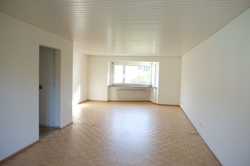 grosszügige 3.5-Zimmerwohnung mit Garage in Riehen (2)