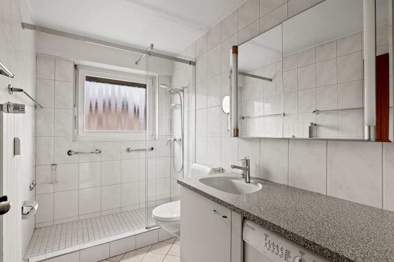 4-Zimmer-Wohnung mit traumhafter Weitsicht in Wangen an der Aare (9)