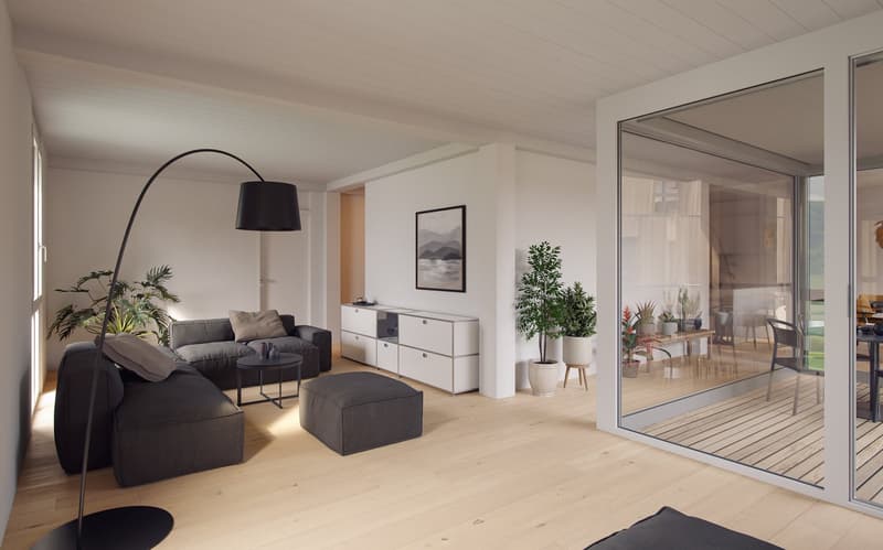 modern interior, floor lamp, sofa, gray couch, ottoman, cabinet, dining table, potted plants, balcony