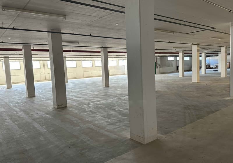 Large open space with concrete floor, white walls, and multiple support columns. The space appears to be a warehouse or industrial facility with high ceilings and ample natural light from the windows.