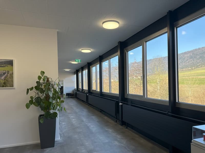 Spacious office corridor with large windows overlooking a scenic outdoor landscape, concrete flooring, white walls, and recessed lighting fixtures. There is a potted plant in the foreground.
