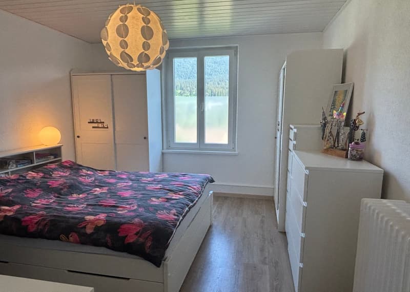 Bel appartement de 4.5 pces rénové (4)