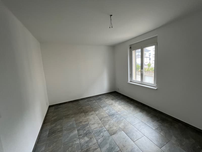 Bel appartement de 4.5 pces rénové (6)