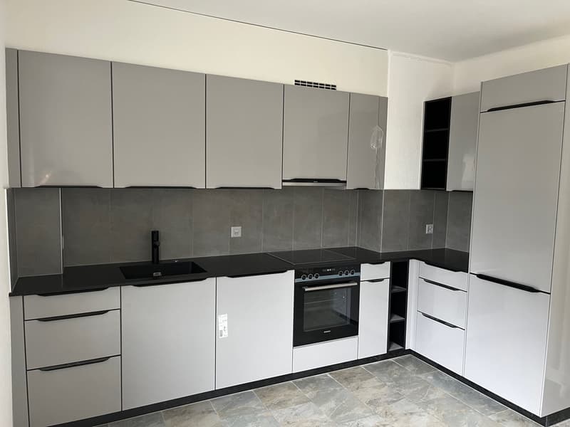 Bel appartement de 4.5 pces rénové (2)