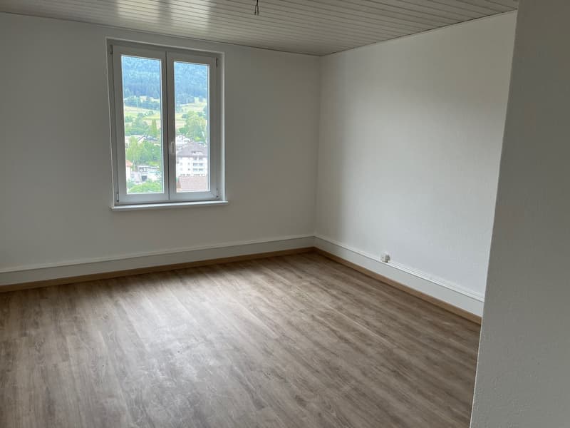 Bel appartement de 4.5 pces rénové (5)