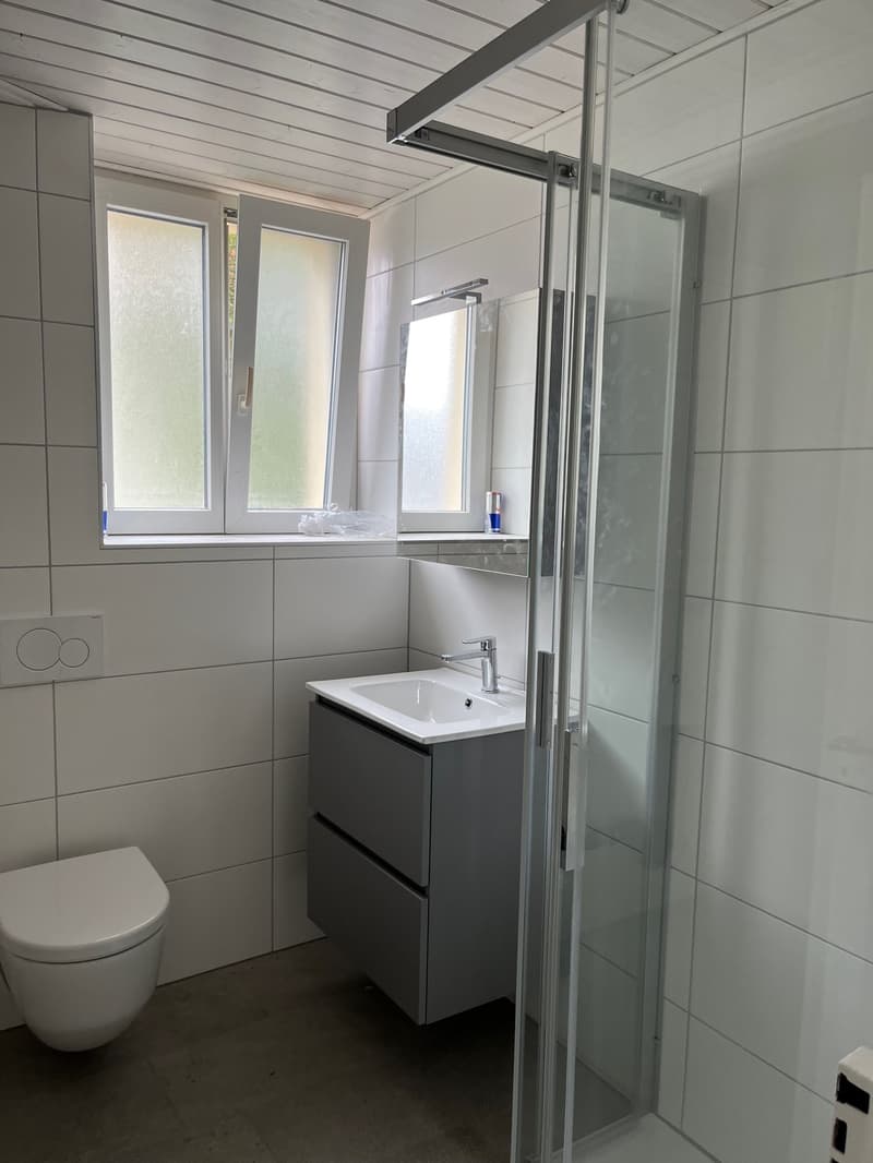 Bel appartement de 4.5 pces rénové (7)