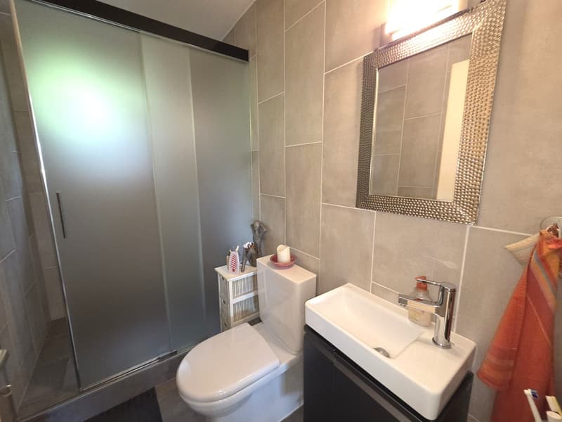 Maison de 2 appartements avec vue imprenable sur les Alpes (9)