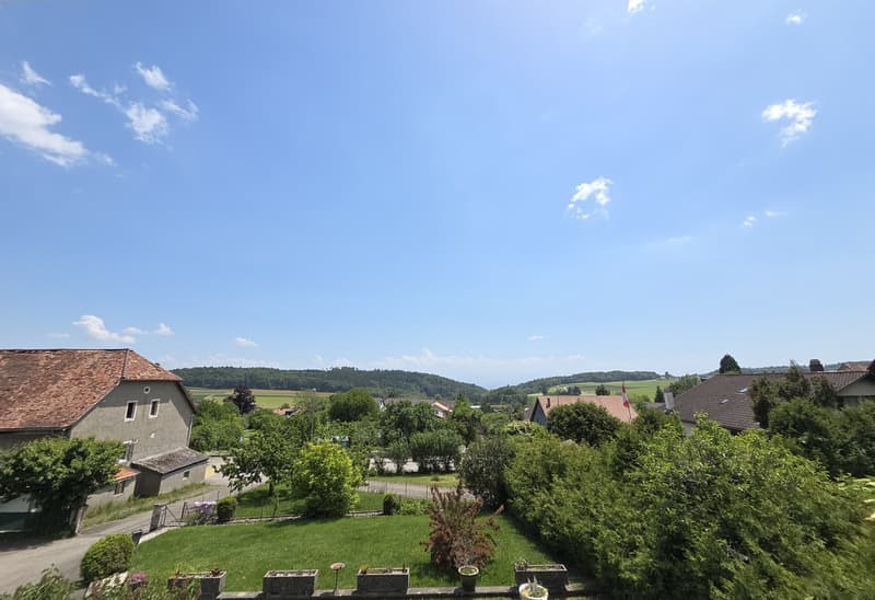 Maison de 2 appartements avec vue imprenable sur les Alpes (1)