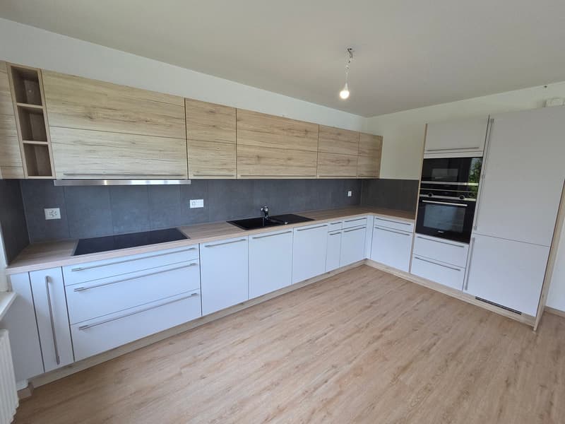 Maison de 2 appartements avec vue imprenable sur les Alpes (10)