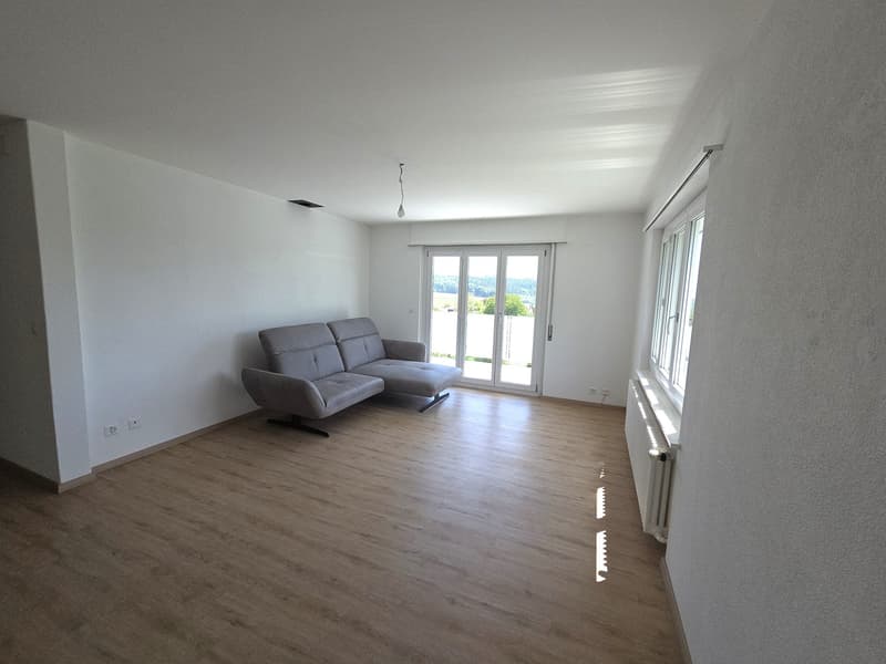 Maison de 2 appartements avec vue imprenable sur les Alpes (12)
