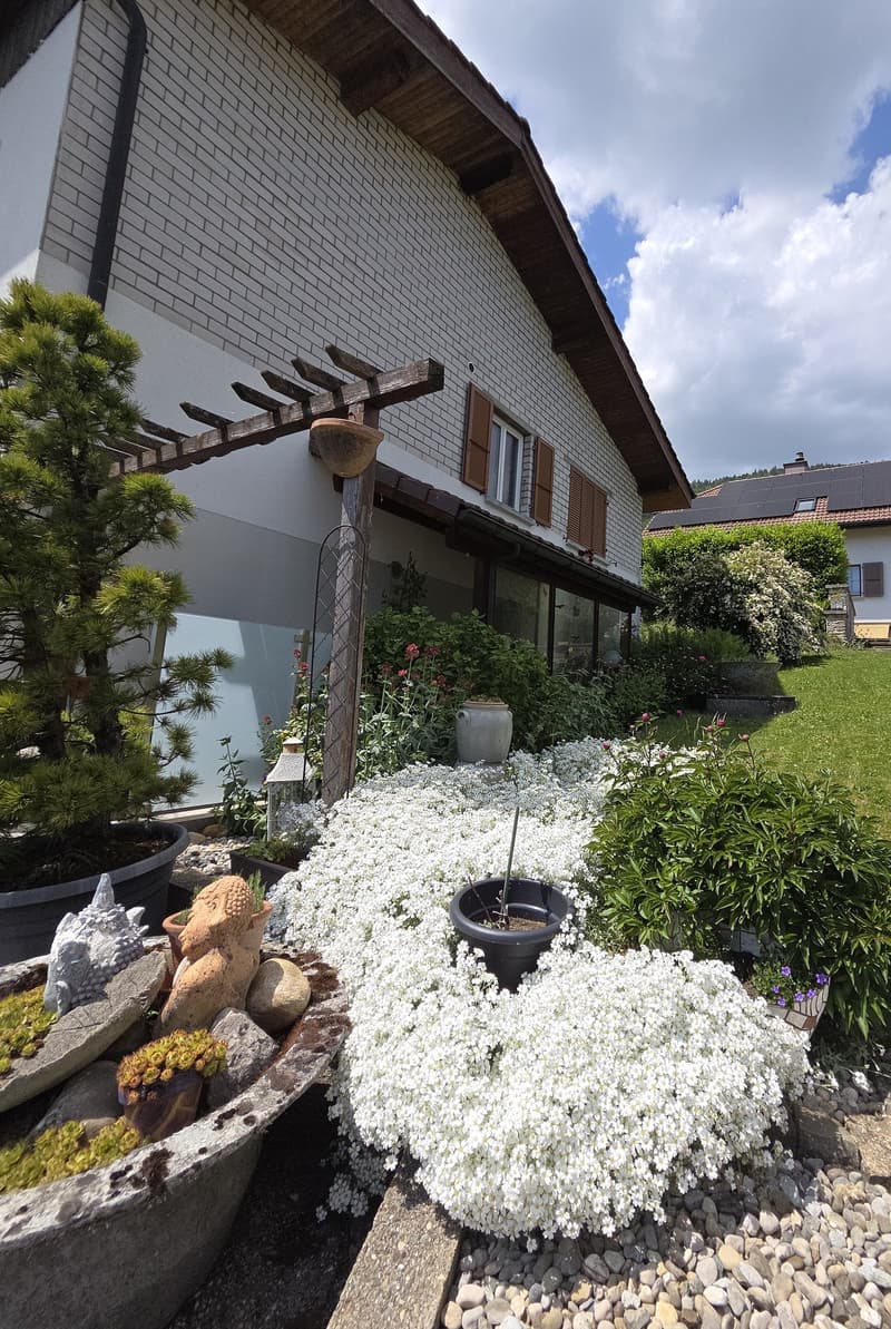 Maison de 2 appartements avec vue imprenable sur les Alpes (6)