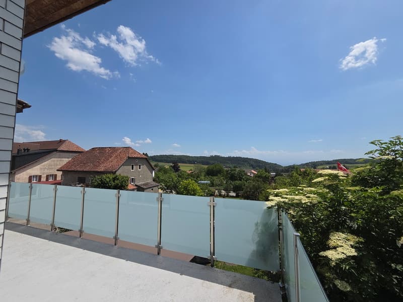 Maison de 2 appartements avec vue imprenable sur les Alpes (14)