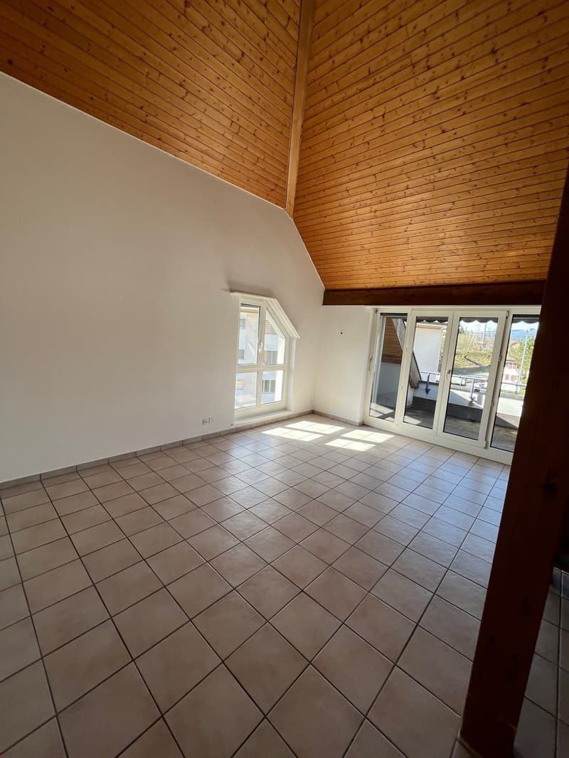Beau duplex de 4.5 pièces avec grande mezzanine (8)