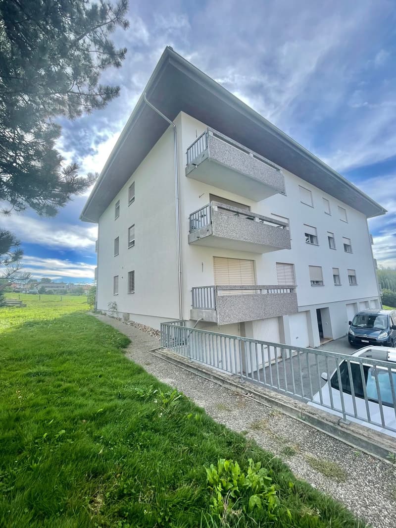 Charmant appartement de 2.5 pièces (13)