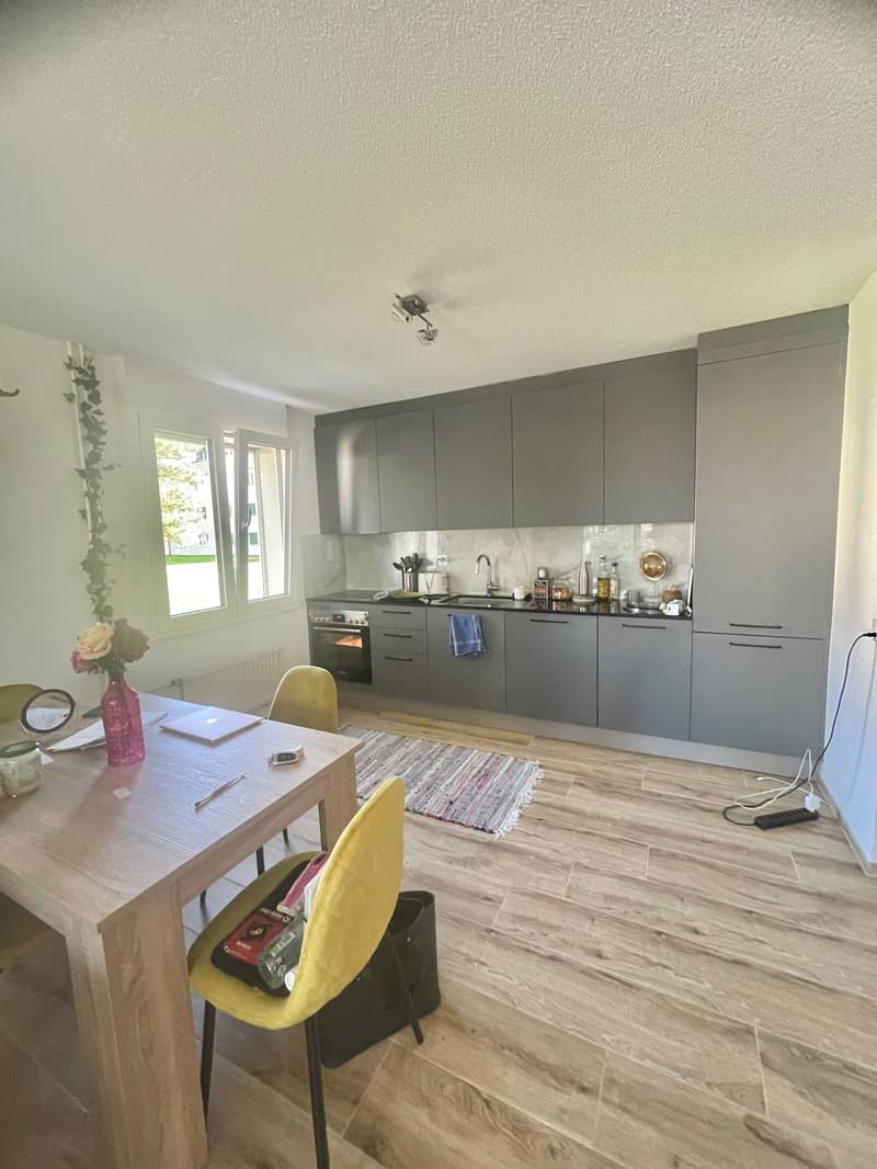 Charmant appartement de 2.5 pièces (10)