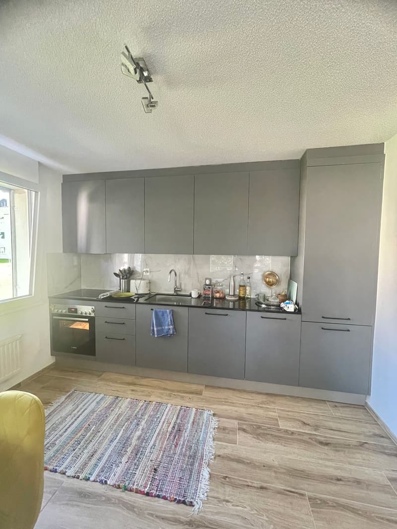 Charmant appartement de 2.5 pièces (11)