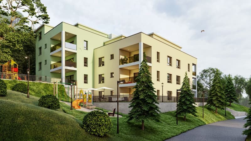 Appartement neuf de 3.5 pièces avec grande terrasse (3)
