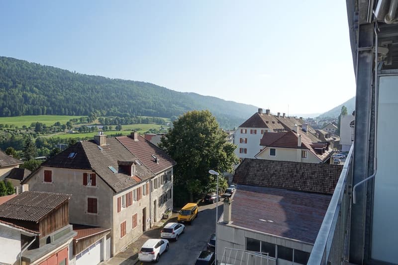 Magnifique appartement rénové de 3 pièces avec terrasse et ascenseur (6)