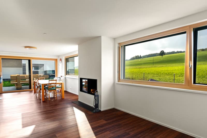 Maison individuelle neuve au calme - avec vue dégagée (8)