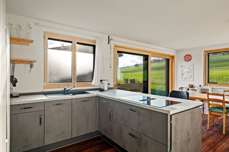 Maison individuelle neuve au calme - avec vue dégagée (7)