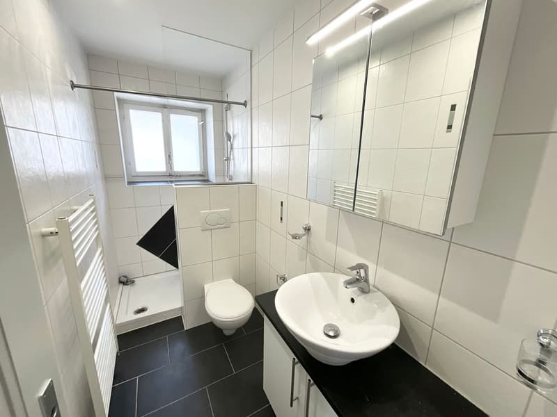 Charmant appartement de 3 pièces (3)