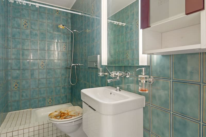 Charmant et spacieux appartement PPE de 4.5 pièces avec balcon, jardin commun et 3 places de parc (10)
