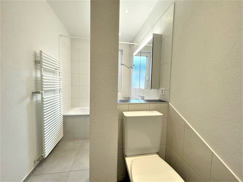 Joli appartement de 3 pièces au 1er étage (6)