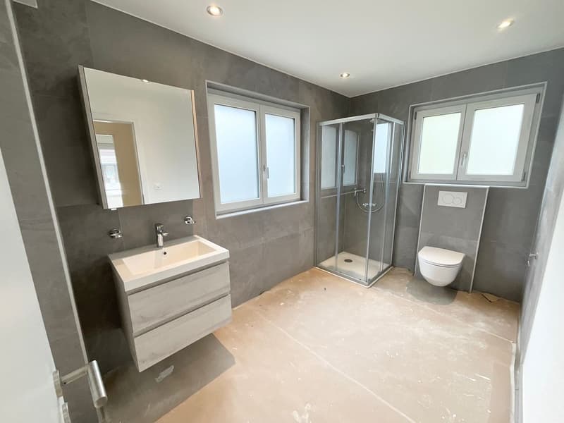 Maison individuelle avec deux appartements (7)