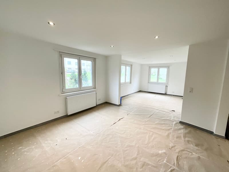 Maison individuelle avec deux appartements (10)