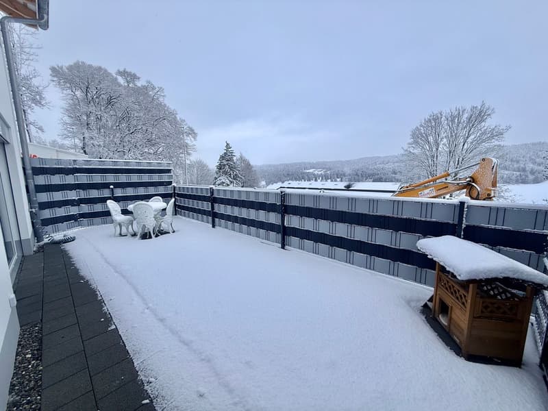 Charmant 3.5 pièces doté d'une terrasse spacieuse (3)