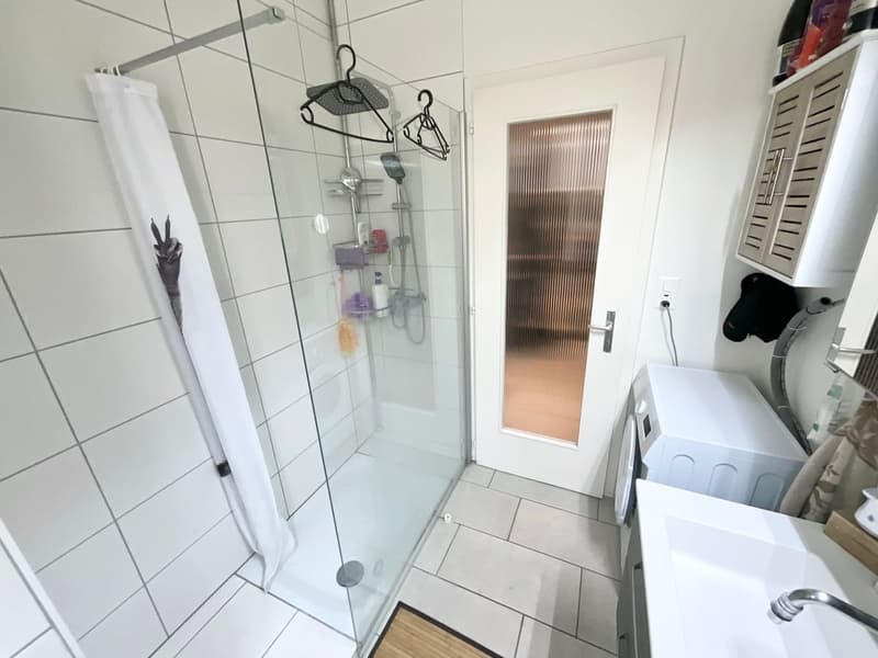 Appartement 3 pièces spacieux et lumineux à La Chaux-de-Fonds (5)