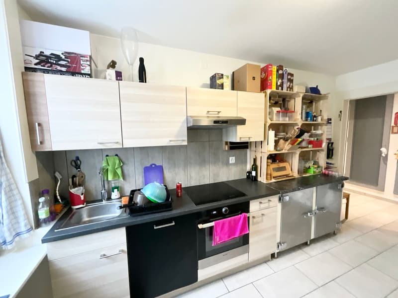 Appartement 3 pièces spacieux et lumineux à La Chaux-de-Fonds (7)
