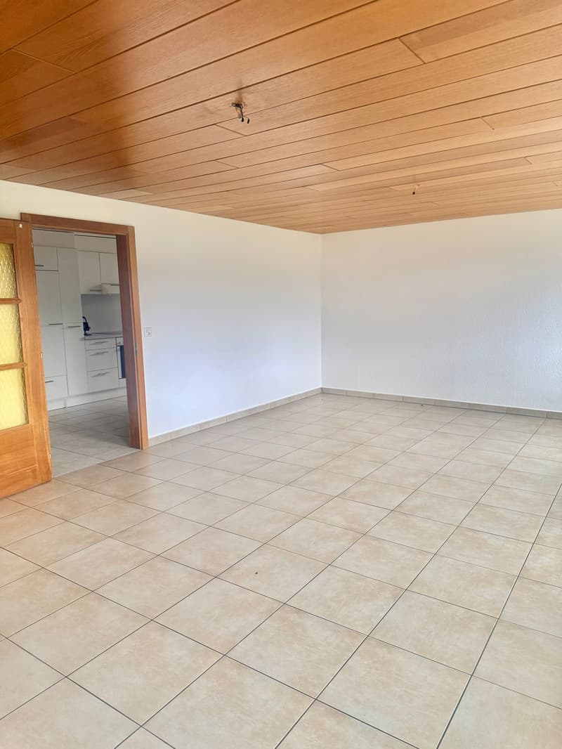 Espace et tranquillité : superbe 4.5 pièces avec jardin exceptionnel (7)