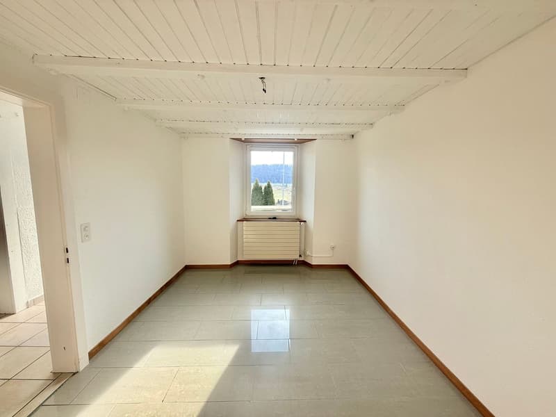 Espace et tranquillité : superbe 4.5 pièces avec jardin exceptionnel (4)