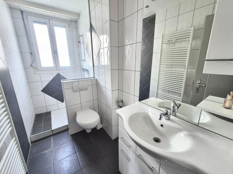 Appartement de 3 pièces (6)
