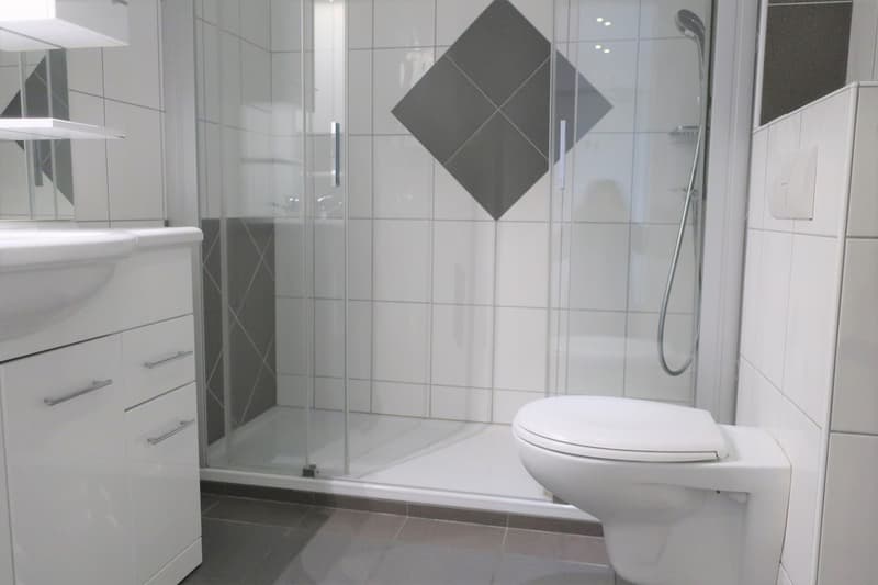 Appartement lumineux de 3 pièces au centre de St-Imier (5)