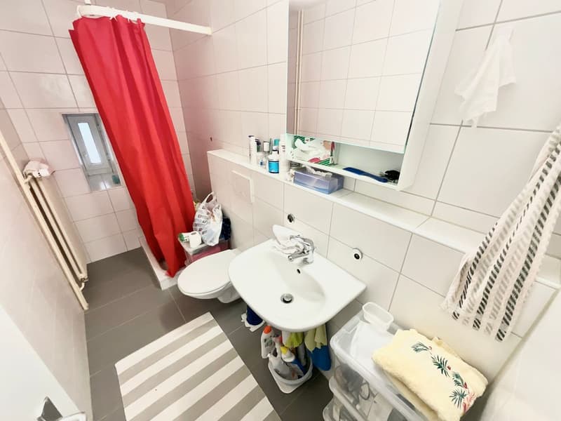 Appartement 2 pièces lumineux au rez-de-chaussée à Sonvilier (6)