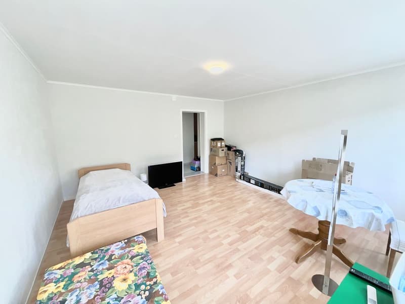 Appartement 2 pièces lumineux au rez-de-chaussée à Sonvilier (4)