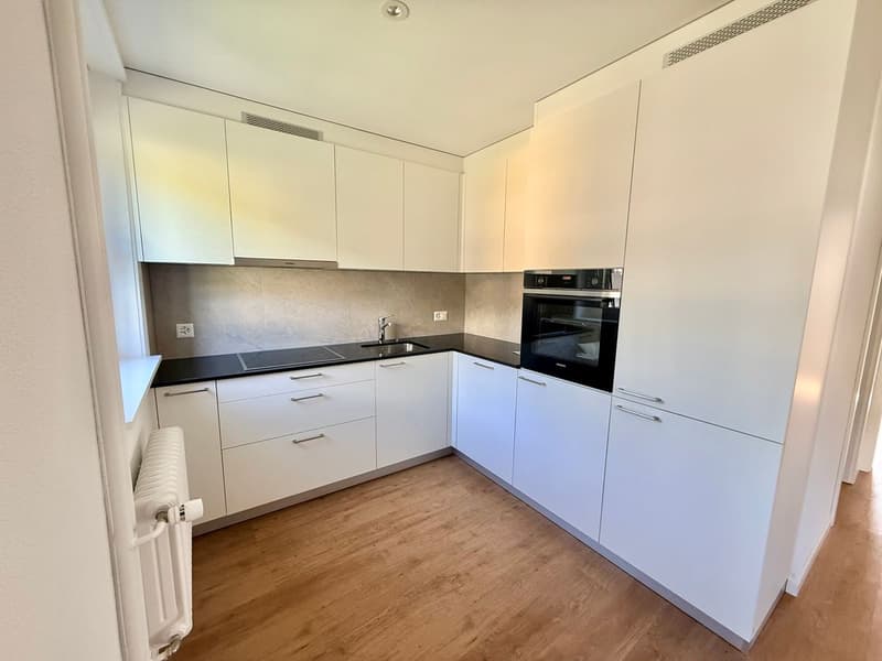 Magnifique appartement 2.5 pièces entièrement rénové - cadre moderne avec vue dégagée (3)