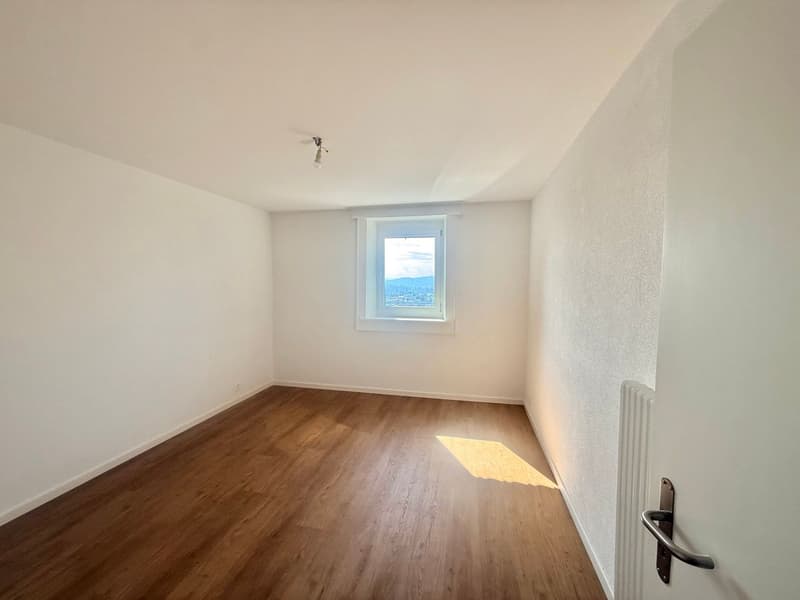 Magnifique appartement 2.5 pièces entièrement rénové - cadre moderne avec vue dégagée (10)