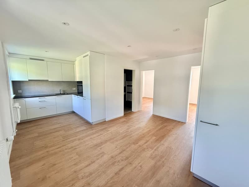 Magnifique appartement 2.5 pièces entièrement rénové - cadre moderne avec vue dégagée (4)