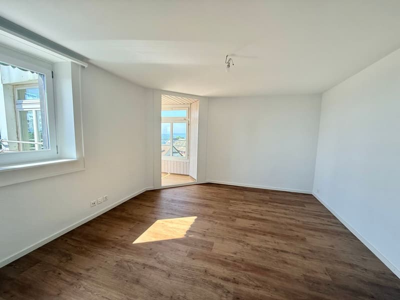 Magnifique appartement 2.5 pièces entièrement rénové - cadre moderne avec vue dégagée (6)