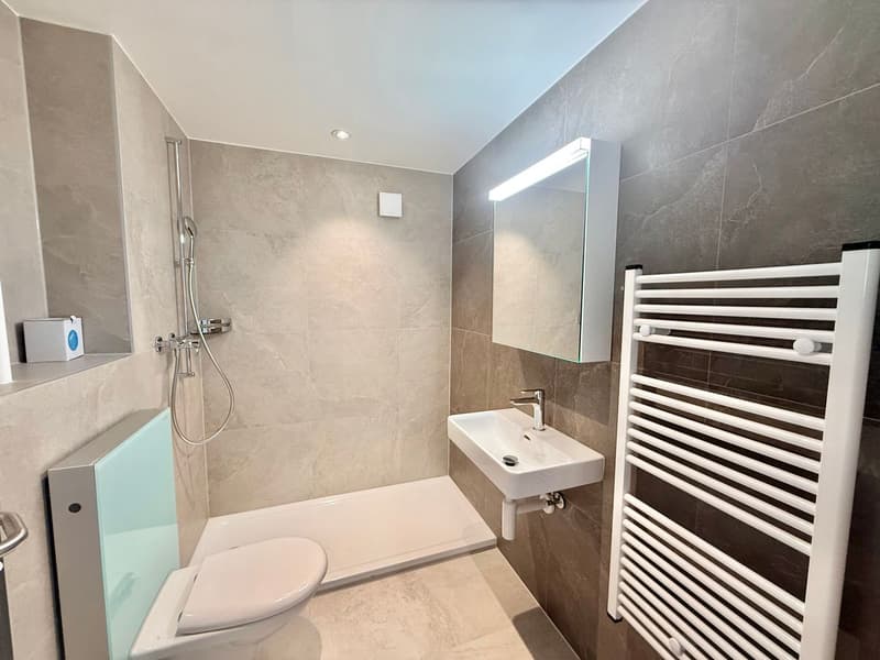 Magnifique appartement 2.5 pièces entièrement rénové - cadre moderne avec vue dégagée (9)