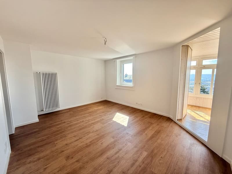 Magnifique appartement 2.5 pièces entièrement rénové - cadre moderne avec vue dégagée (7)