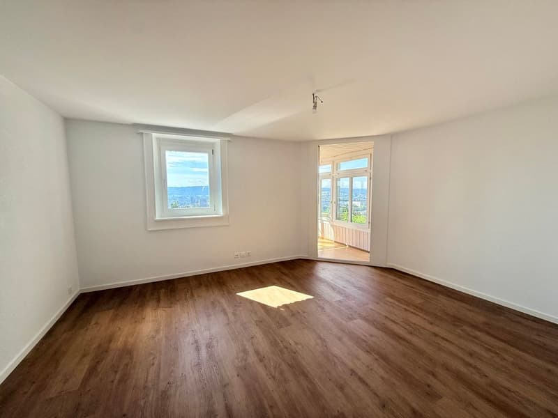 Magnifique appartement 2.5 pièces entièrement rénové - cadre moderne avec vue dégagée (5)