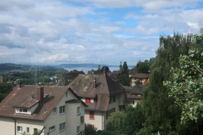 Magnifique appartement 2.5 pièces entièrement rénové - cadre moderne avec vue dégagée (2)
